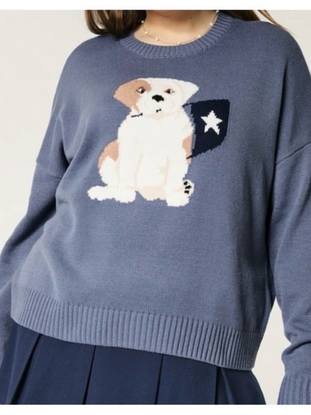 Hollister Blue Intarsia Puppy Dog Knit Crewneck Sweater